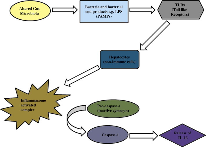 Figure 2