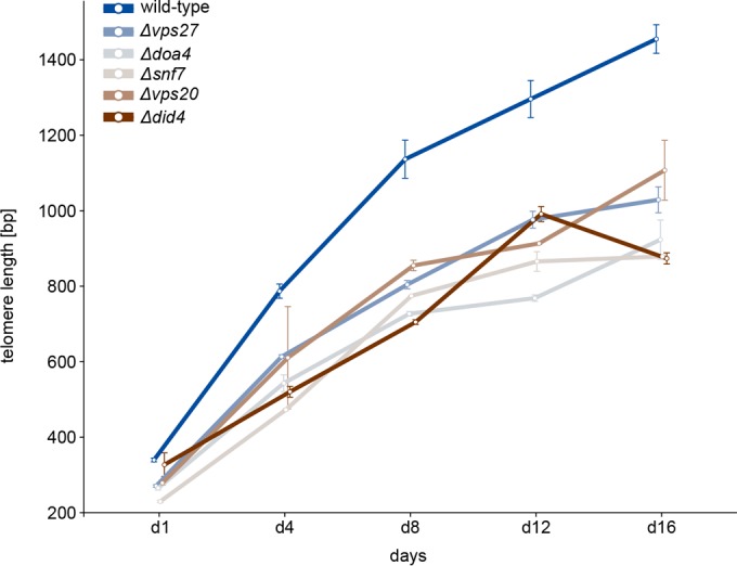 FIG 4 