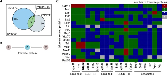 FIG 1 