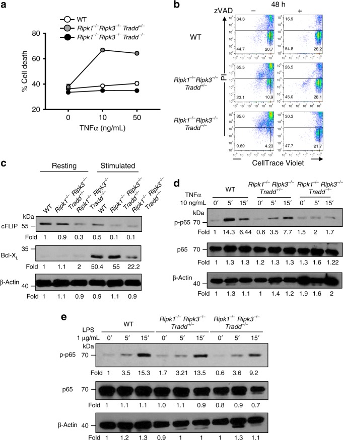 Fig. 4