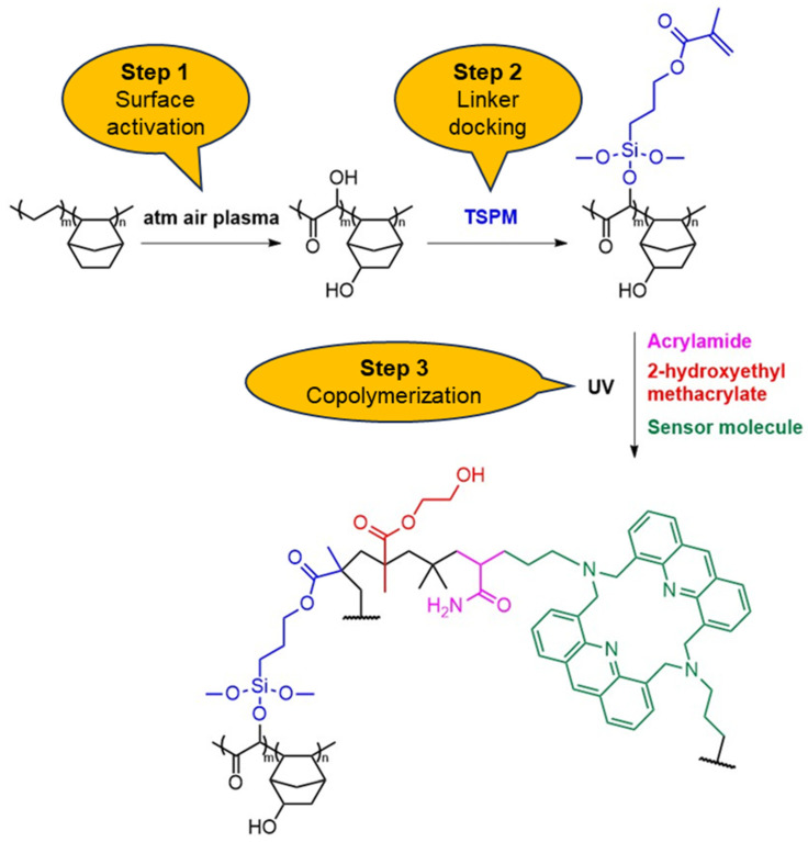 Scheme 1