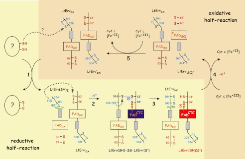 FIGURE 7.