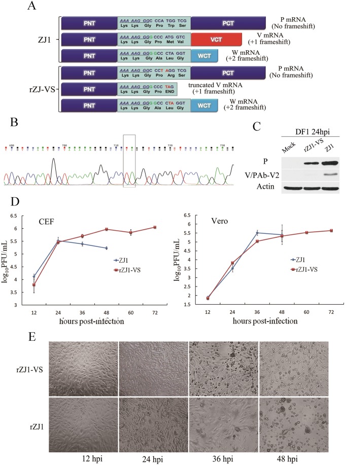 Fig 4