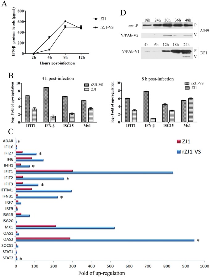 Fig 6