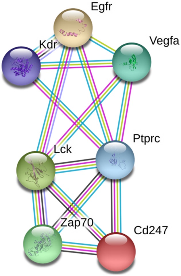 Figure 2.