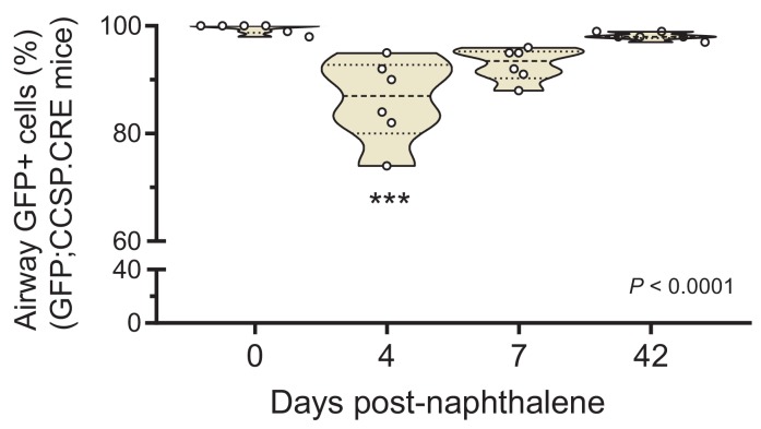 Figure 4—figure supplement 4.