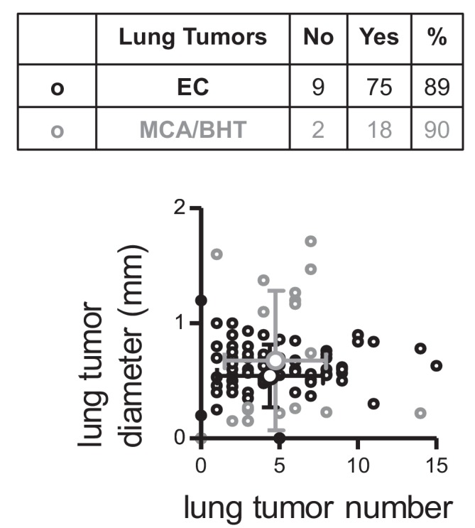 Figure 1—figure supplement 10.