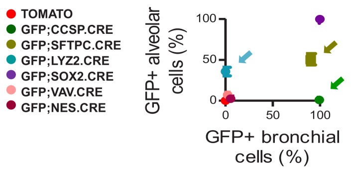 Figure 1—figure supplement 4.