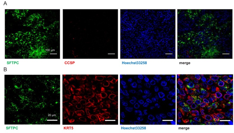 Figure 3—figure supplement 6.