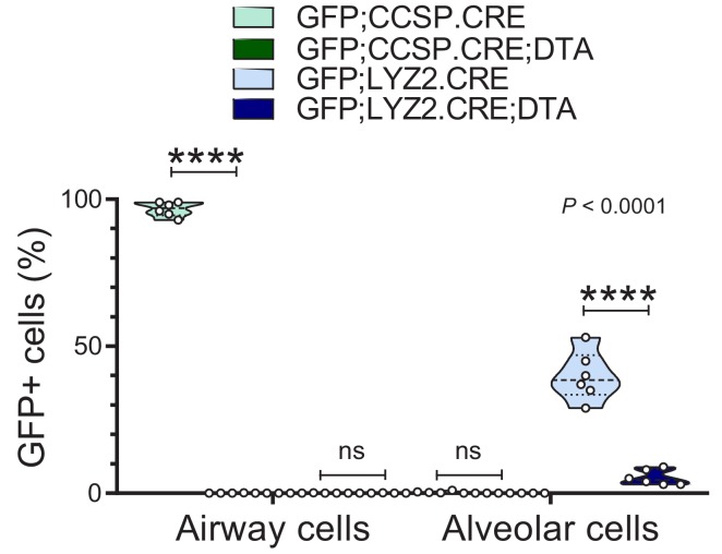 Figure 5—figure supplement 2.