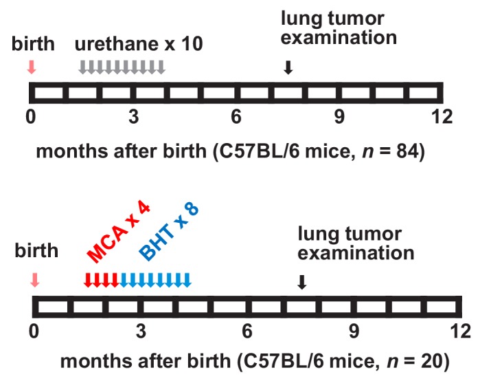 Figure 1—figure supplement 9.