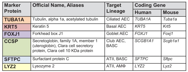 Figure 1—figure supplement 1.