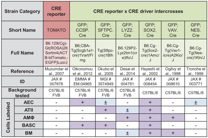 Figure 1—figure supplement 2.