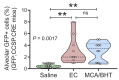 Figure 3—figure supplement 2.