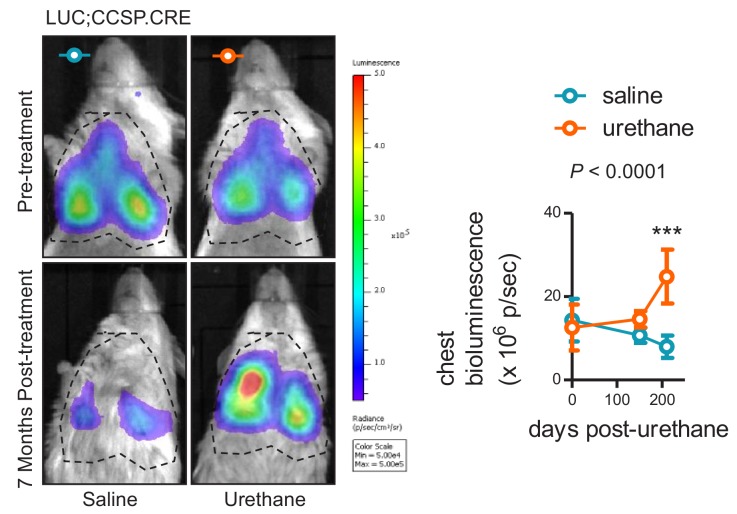 Figure 3—figure supplement 5.