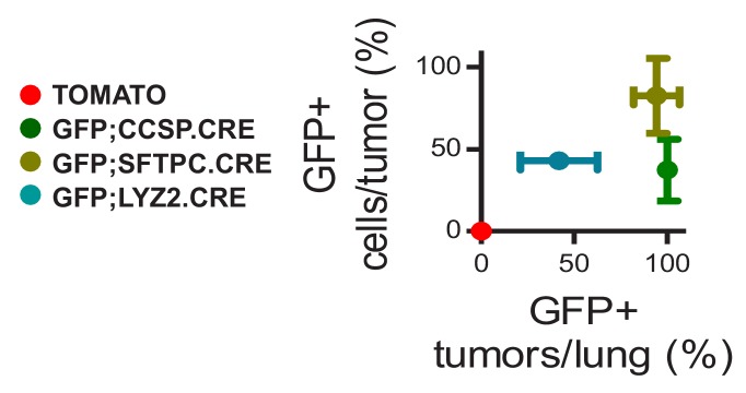 Figure 1—figure supplement 13.