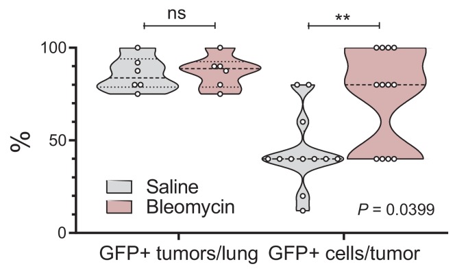 Figure 4—figure supplement 2.