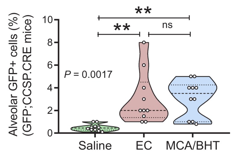 Figure 3—figure supplement 2.