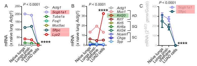 Figure 6—figure supplement 2.