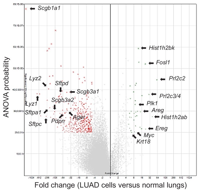 Figure 6—figure supplement 4.