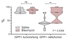 Figure 4—figure supplement 2.
