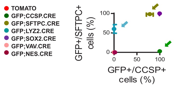 Figure 1—figure supplement 7.