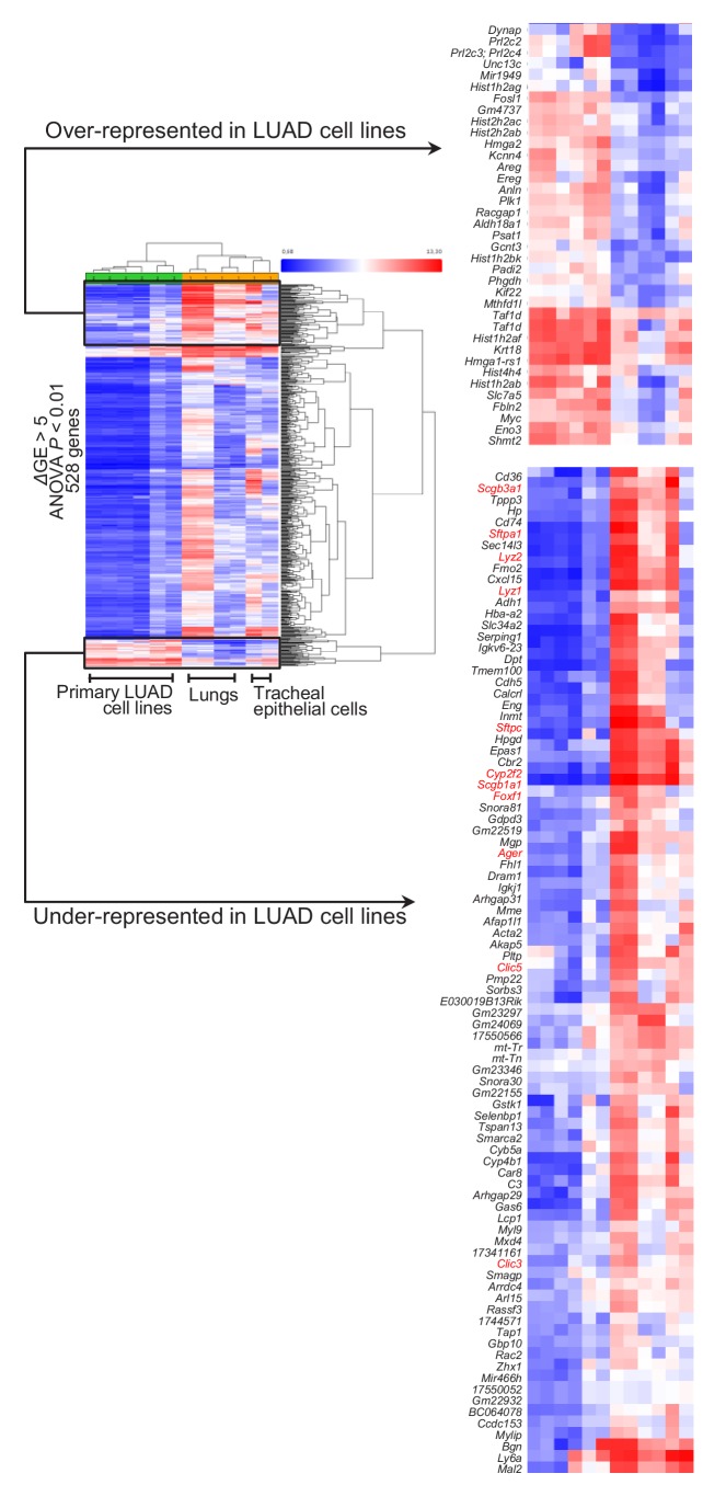 Figure 6—figure supplement 3.