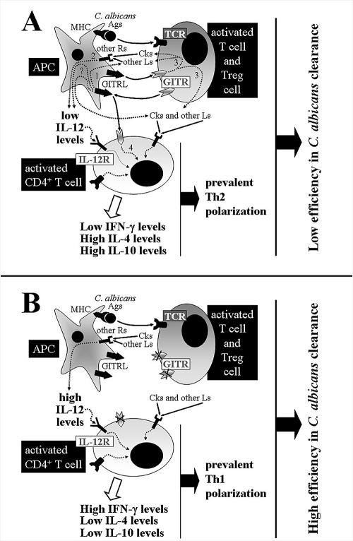 FIG. 6.