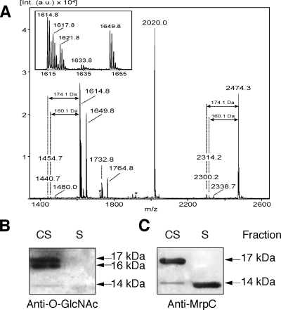 FIG. 5.