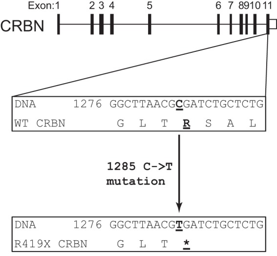 FIGURE 1.