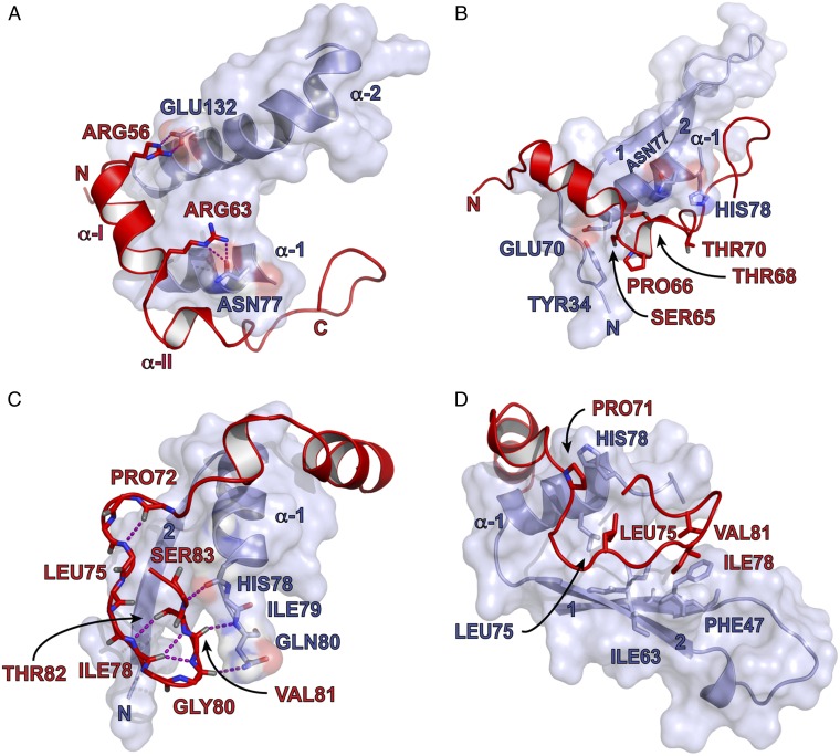 Fig. 2.