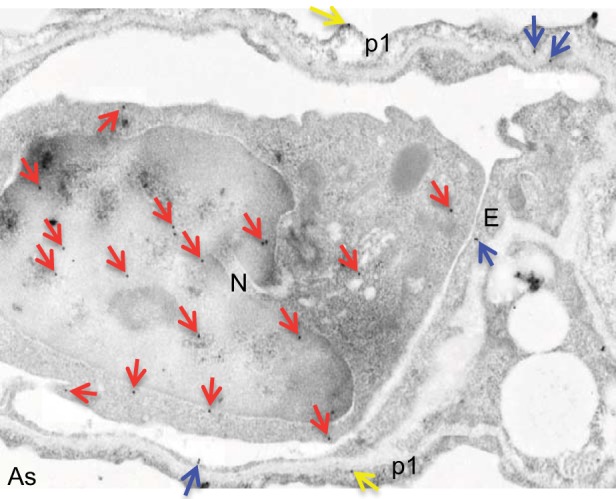 Fig. 3.