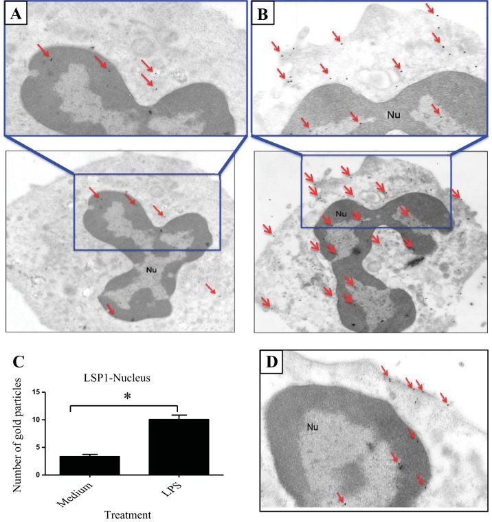 Fig. 10.