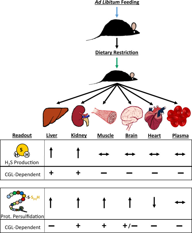 Fig. 10