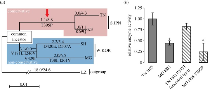 Figure 4.