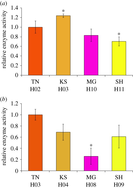 Figure 2.