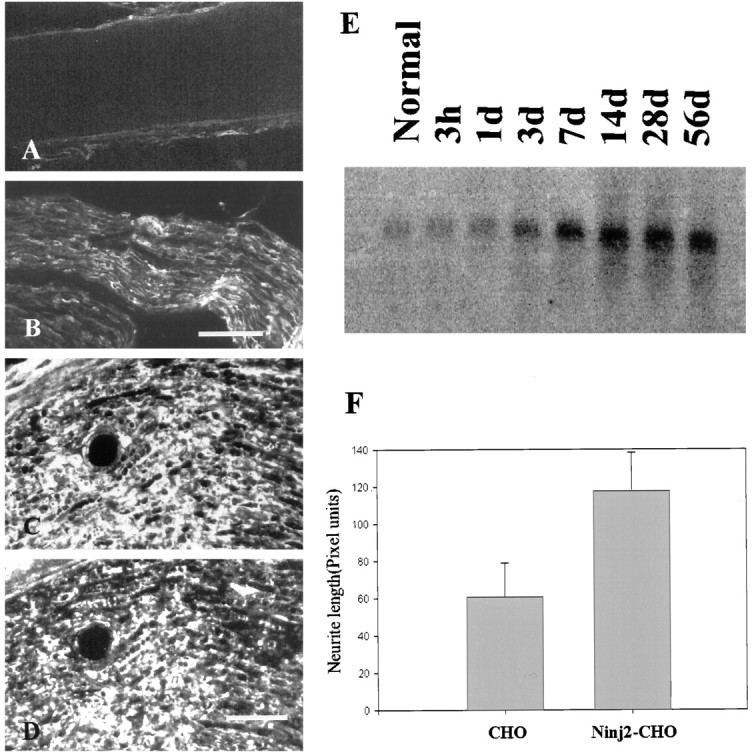 Fig. 9.