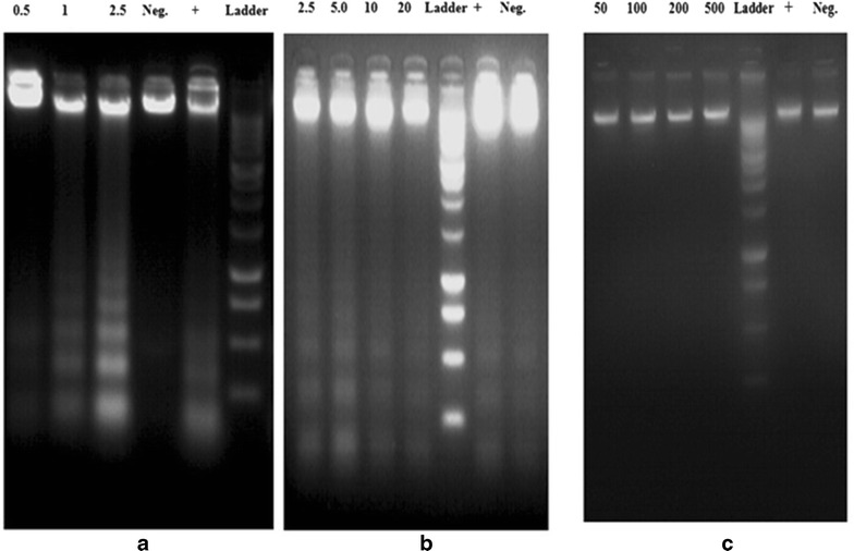 Fig. 10