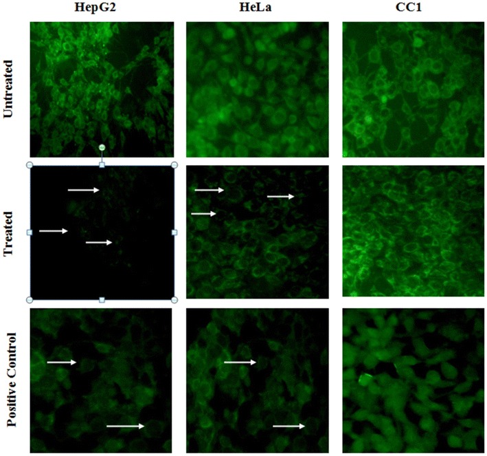 Fig. 7