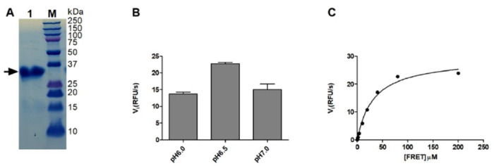 Figure 1: