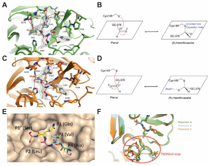 Figure 5: