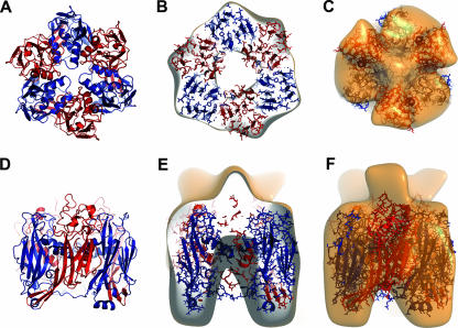 FIG. 7.