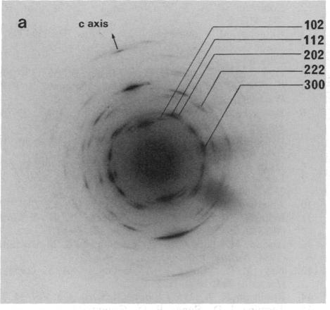 graphic file with name pnas00291-0199-a.jpg