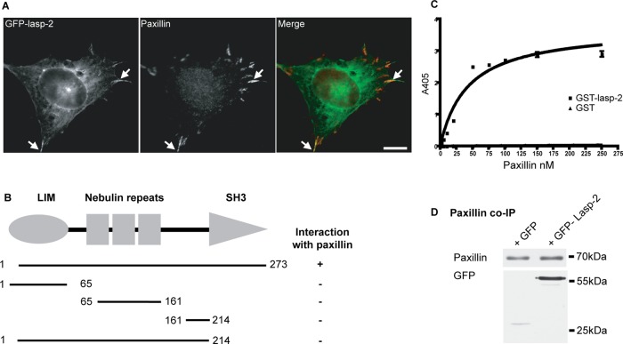 FIGURE 3: