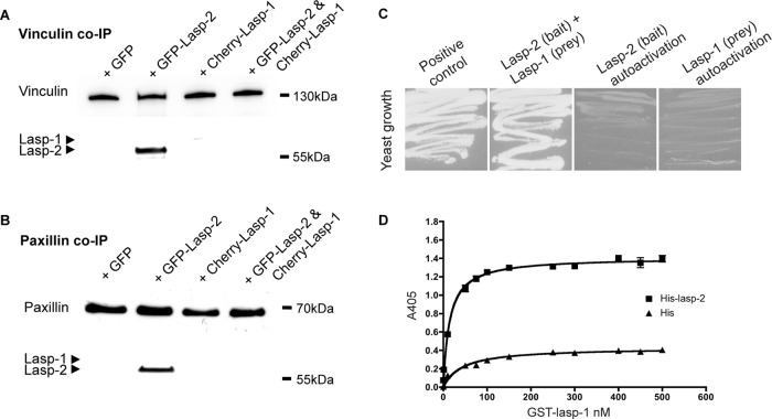 FIGURE 4: