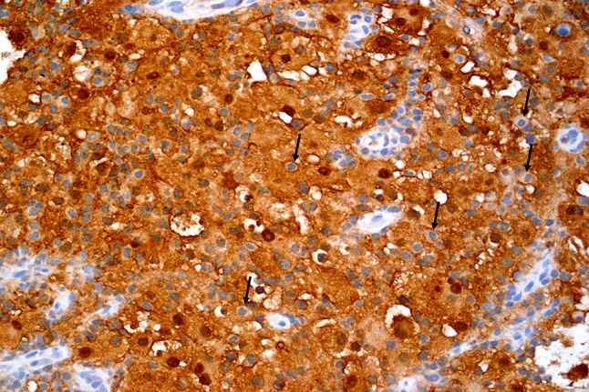 Fig. 6