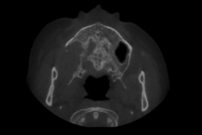 Fig. 1
