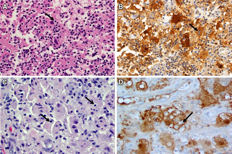Fig. 7