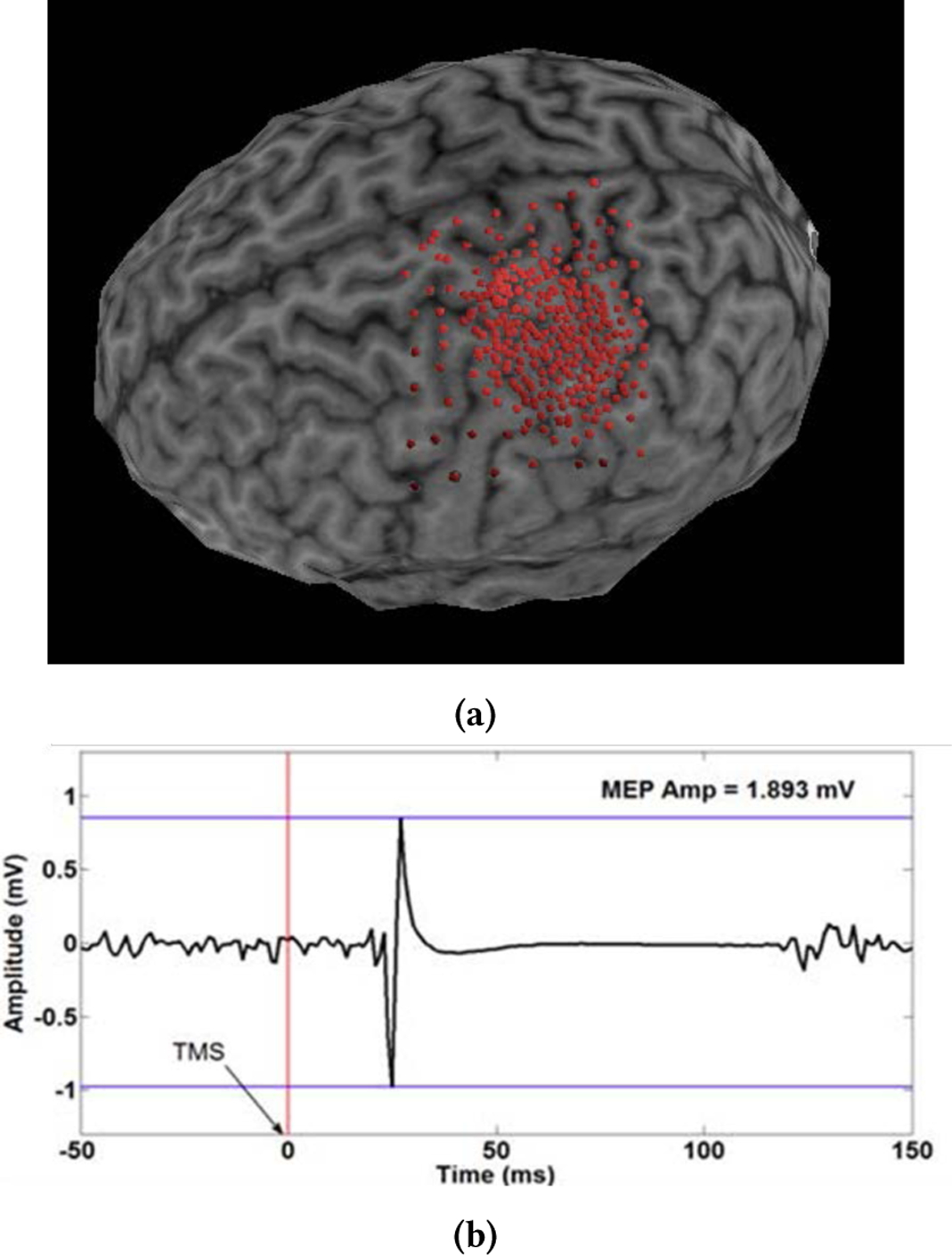 Figure 1: