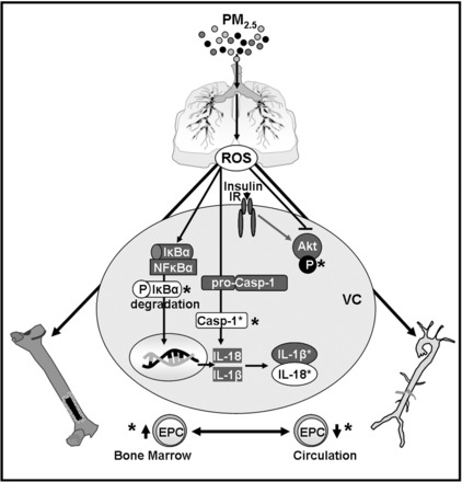 Fig. 7.